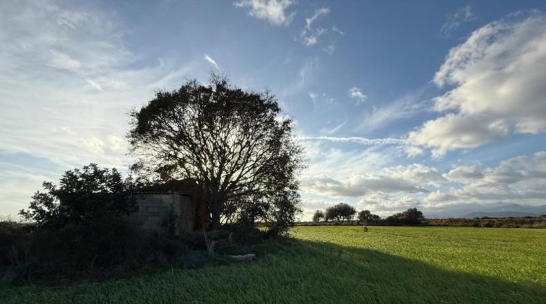 Balearic Islands - Sencelles - 43732m2