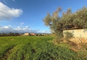 Xalet independent amb terreny en venda a la España, Sencelles, ref.: TR236649 foto