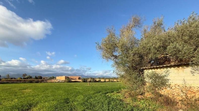 Balearic Islands - Sencelles - 43732m2