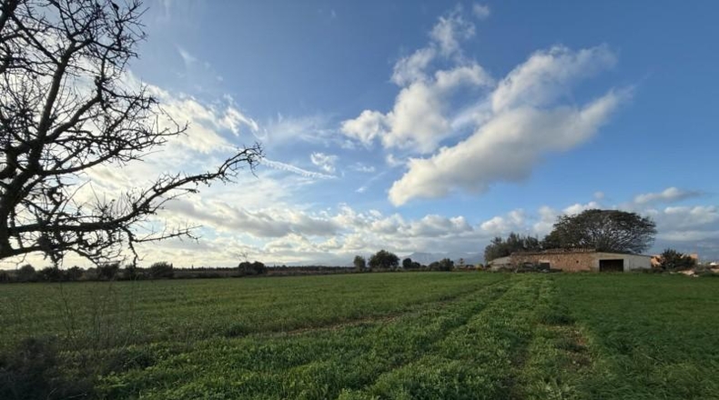 Balearic Islands - Sencelles - 43732m2