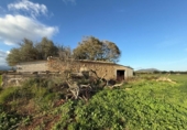 Xalet independent amb terreny en venda a la España, Sencelles, ref.: TR236649 foto