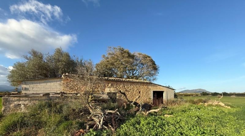 Balearic Islands - Sencelles - 43732m2