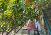 Casa de poble en venda a la España, Lloret de Mar, ref.: TR300524 foto