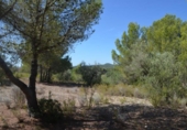 Xalet independent amb terreny en venda a la España, l'Ametlla de Mar, ref.: TR135762 foto