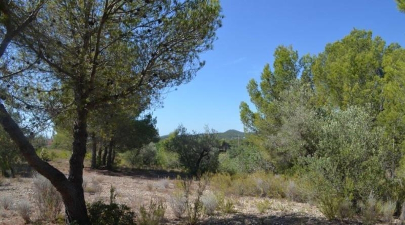 Tarragona - l'Ametlla de Mar - 16489m2