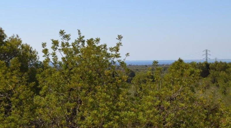 Tarragona - l'Ametlla de Mar - 16489m2