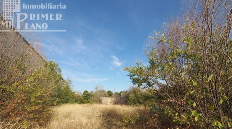 Ciudad Real - Tomelloso - 2335m2