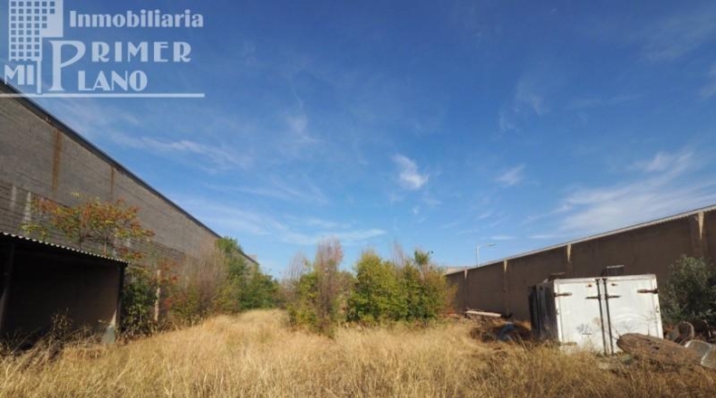 Ciudad Real - Tomelloso - 2335m2