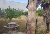 Land suitable for development for sale on España, Guadalajara, ref: TR119828 photo
