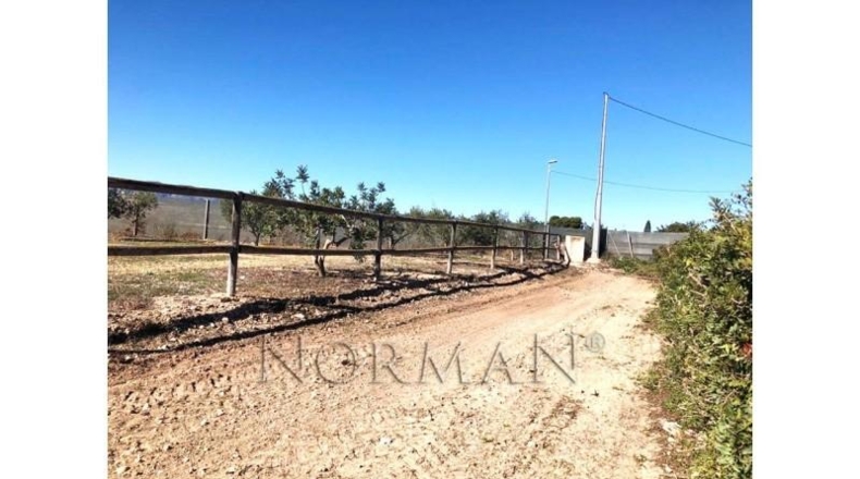 Múrcia - Murcia - 23200m2