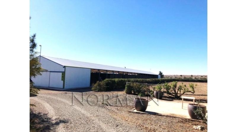 Múrcia - Murcia - 23200m2