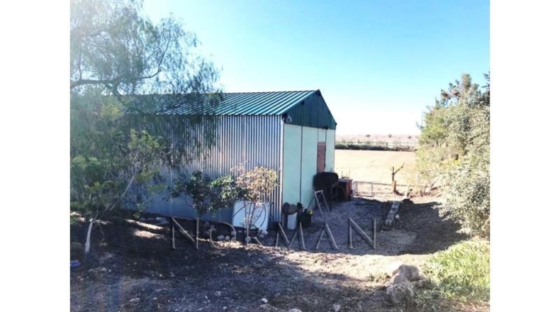 Múrcia - Murcia - 23200m2