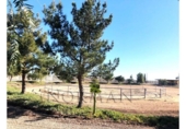 Parcel·la urbanitzable en venda a la España, Múrcia, ref.: TR123014 foto