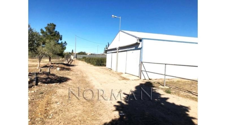 Múrcia - Murcia - 23200m2