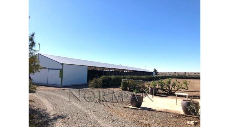 Múrcia - Murcia - 23200m2