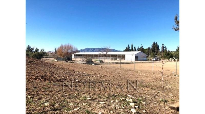 Múrcia - Murcia - 23200m2