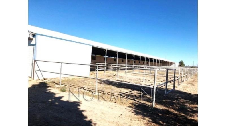 Múrcia - Murcia - 23200m2