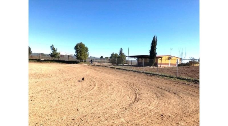 Múrcia - Murcia - 23200m2