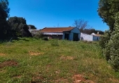 Casa de camp amb terreny en venda a la España, Barbate, ref.: TR148401 foto