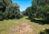 Casa de camp amb terreny en venda a la España, Barbate, ref.: TR148401 foto