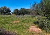 Casa de camp amb terreny en venda a la España, Barbate, ref.: TR148401 foto