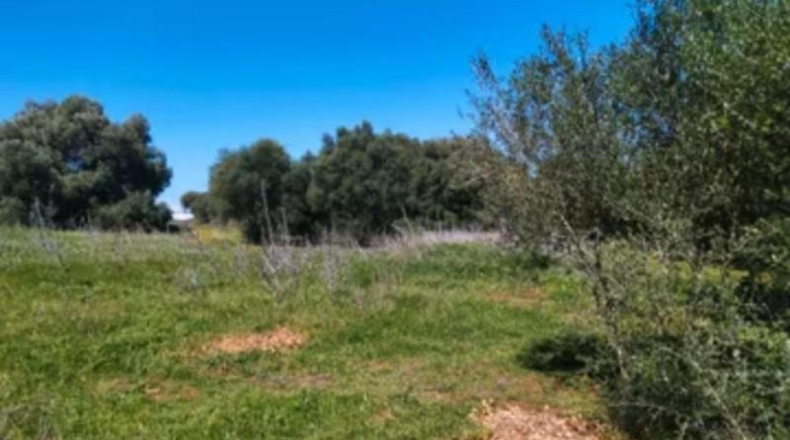 Cádiz - Barbate - 600m2