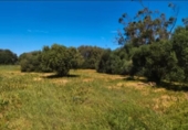 Casa de camp amb terreny en venda a la España, Barbate, ref.: TR148401 foto