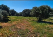 Casa de camp amb terreny en venda a la España, Barbate, ref.: TR148401 foto
