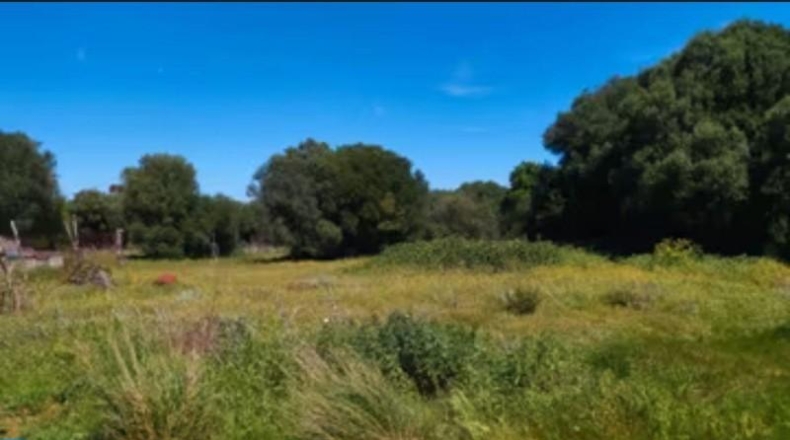 Cádiz - Barbate - 600m2