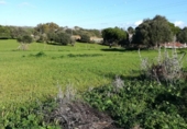 Загородный дом с участком на продажу в городе Vejer de la Frontera Фото