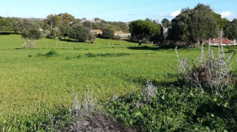 Cádiz - Vejer de la Frontera - 21660m2