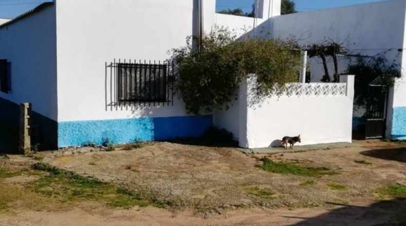 Cádiz - Vejer de la Frontera - 21660m2