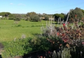 Загородный дом с участком на продажу в городе Vejer de la Frontera Фото