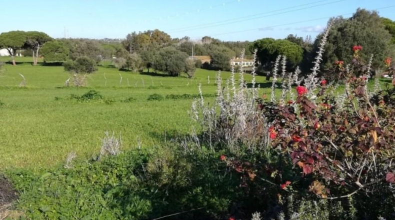 Cádiz - Vejer de la Frontera - 21660m2