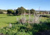 Загородный дом с участком на продажу в городе Vejer de la Frontera Фото