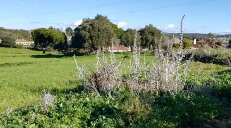 Cádiz - Vejer de la Frontera - 21660m2