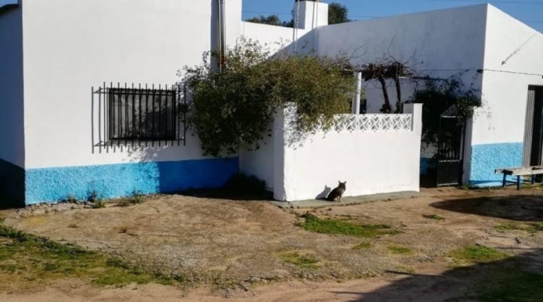 Cádiz - Vejer de la Frontera - 21660m2