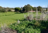 Загородный дом с участком на продажу в городе Vejer de la Frontera Фото