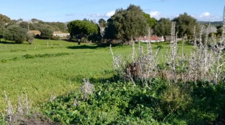 Cádiz - Vejer de la Frontera - 21660m2