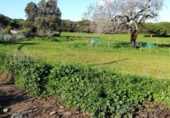 Загородный дом с участком на продажу в городе Vejer de la Frontera Фото
