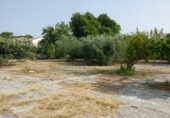 Urban land for sale on España, L'Olleria, ref: TR113797 photo