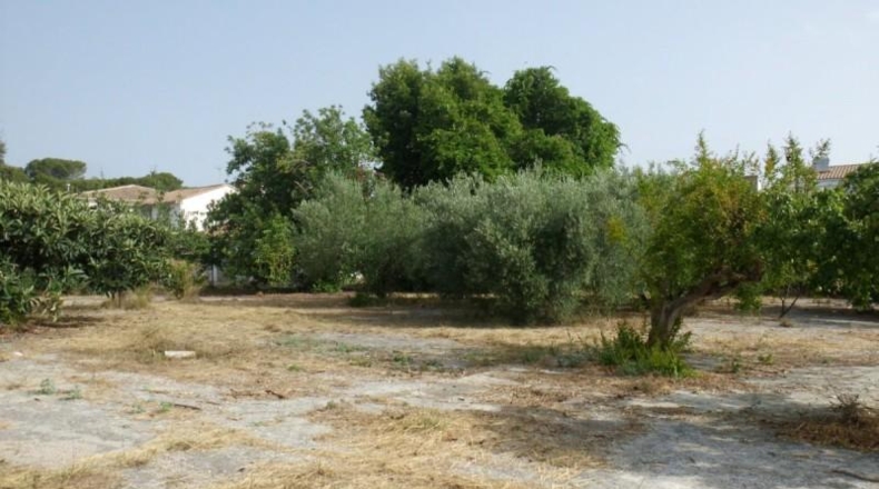 València - Ollería - 2220m2