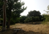 Urban land for sale on España, L'Olleria, ref: TR113797 photo