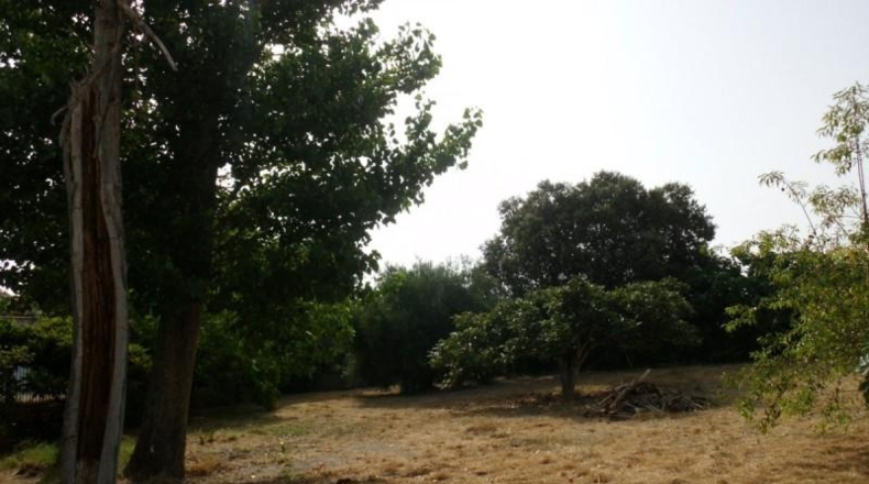 València - Ollería - 2220m2