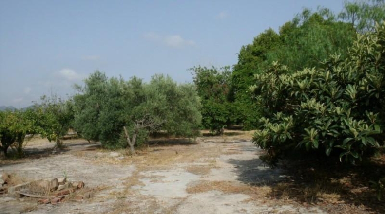 València - Ollería - 2220m2