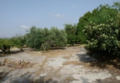 Urban land for sale on España, L'Olleria, ref: TR113797 photo