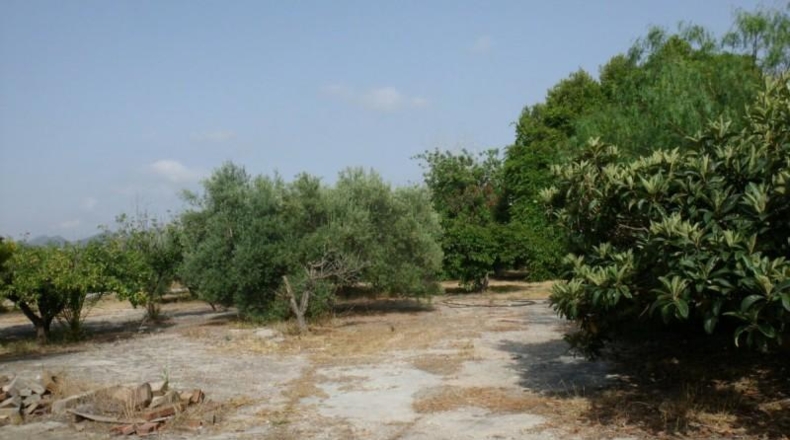 València - Ollería - 2220m2