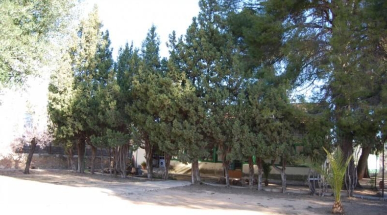 Castellón - Navajas - 4642m2