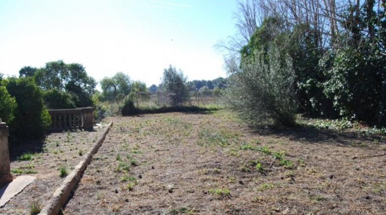 Castellón - Navajas - 4642m2