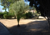 Xalet independent amb terreny en venda a la España, Navaixes, ref.: TR134397 foto